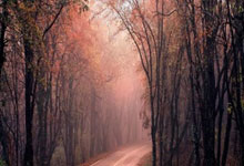 装修团购活动方案策划案例,装修公司团购活动策划方案