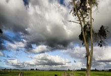 美式家具团购网,美式家具团购网站