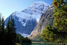 家庭装修团购活动,家装团购策划方案