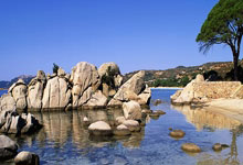 一次性家居用品团购文案,家具团购活动广告语